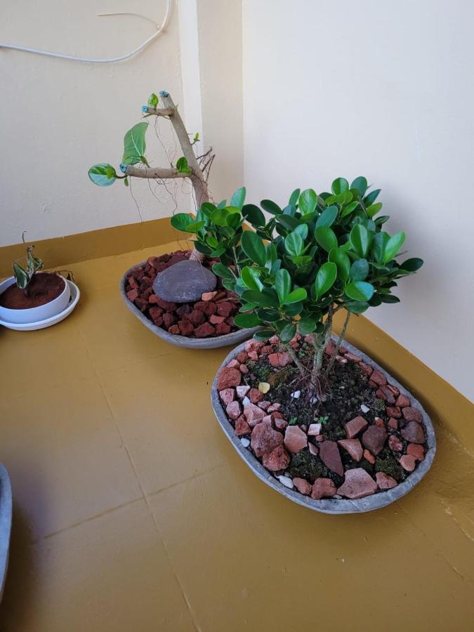 Sandy Beach Hotel Thiruvananthapuram Exterior photo